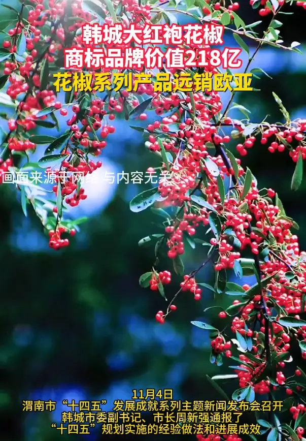 韩城大红袍花椒商标品牌价值218亿，花椒系列产品远销欧亚