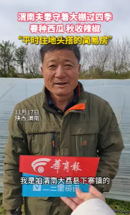 渭南夫妻守着大棚过四季，春种西瓜 秋收辣椒