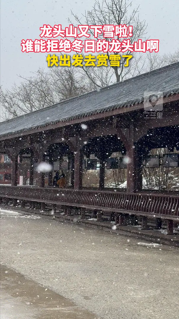 龙头山又下雪啦！谁能拒绝冬日的龙头山，快出发去赏雪