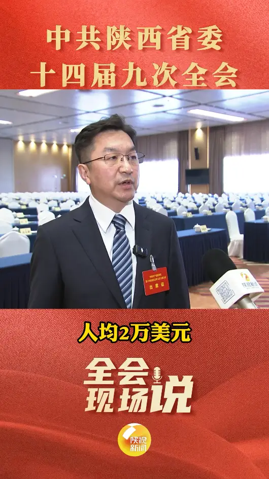 陕西省委副秘书长、省委政研室主任王飞：未来五年陕西发展需要追赶超越
