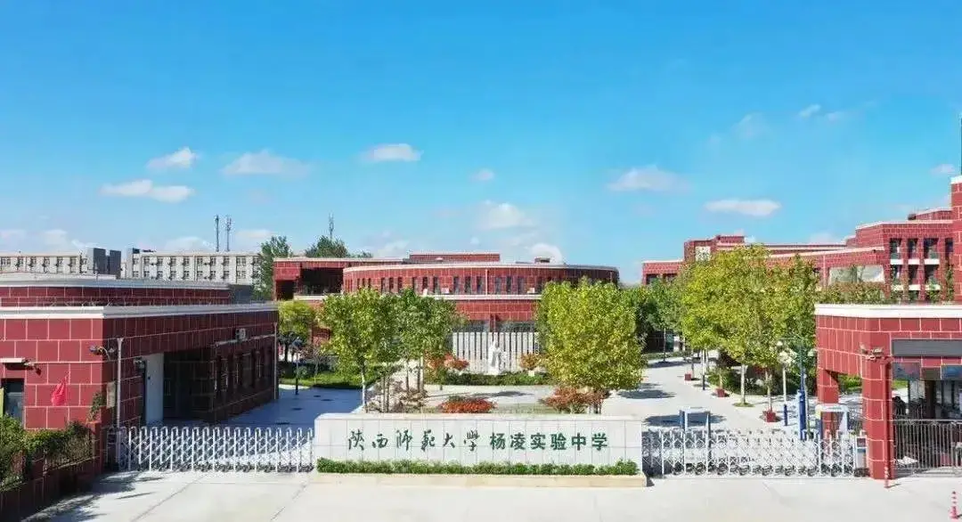 杨凌示范区锚定“教育强区”战略目标 全面推进教育现代化进程