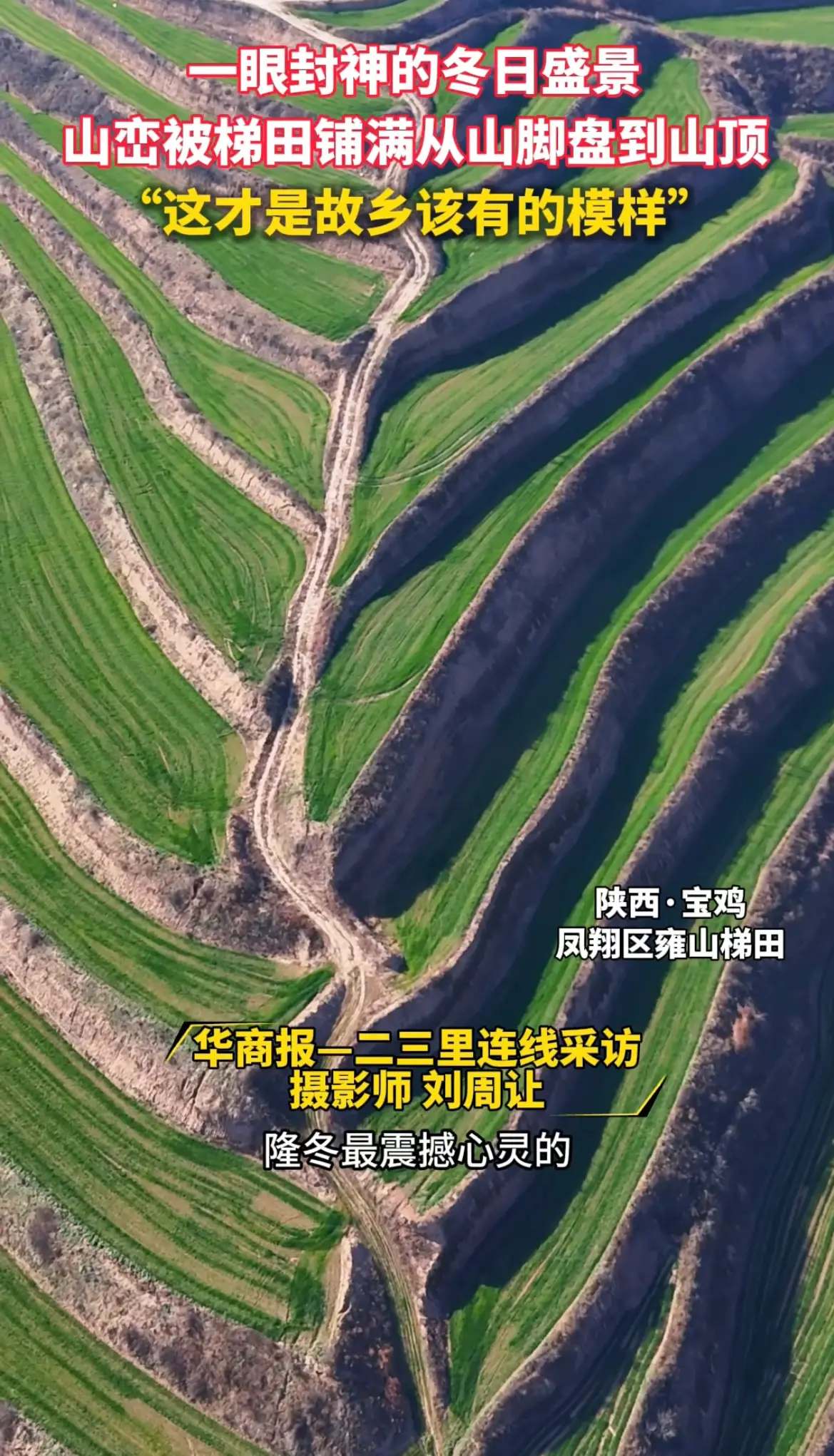 一眼封神的冬日盛景，山峦被梯田铺满从山脚盘到山顶