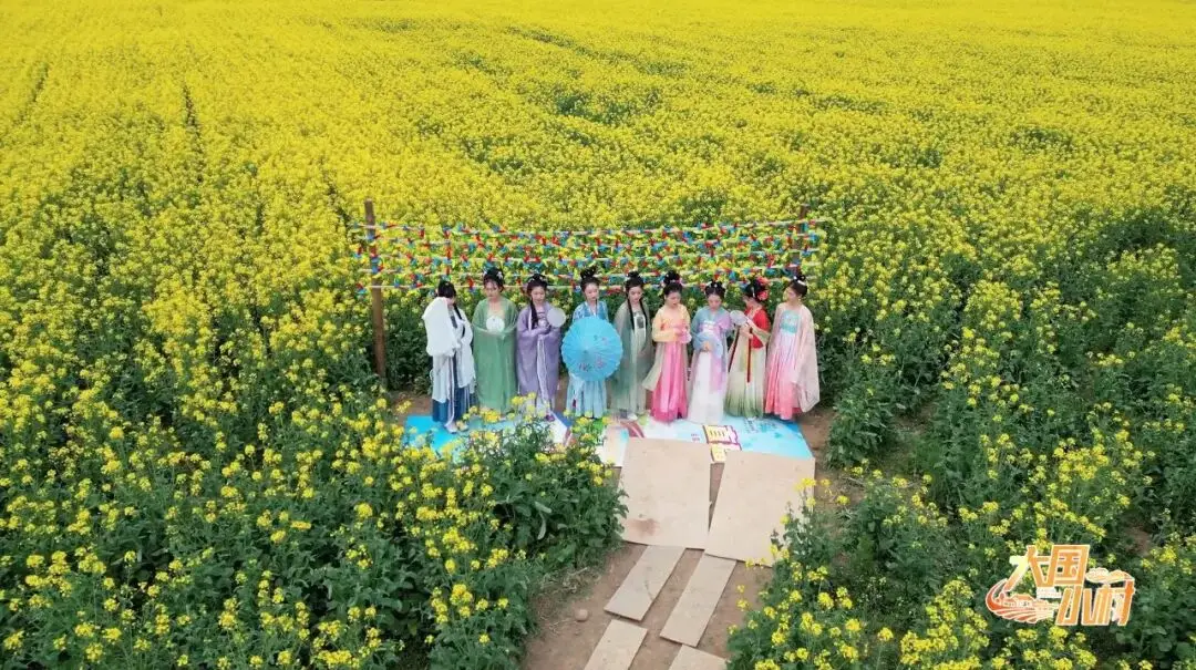 村村争做“绿富美” 杨凌探索协同发展乡村振兴新路径