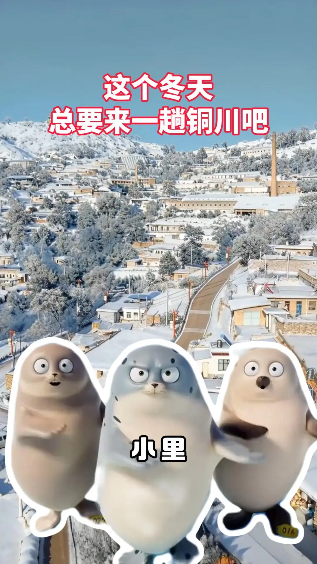 这个冬天，总要来一趟铜川吧