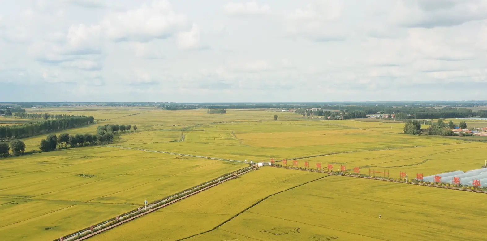 北纬43°的稻香传奇——九台贡米