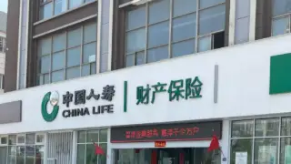 国寿理赔大数据：2025年赔付超1000亿，温暖守护每一刻