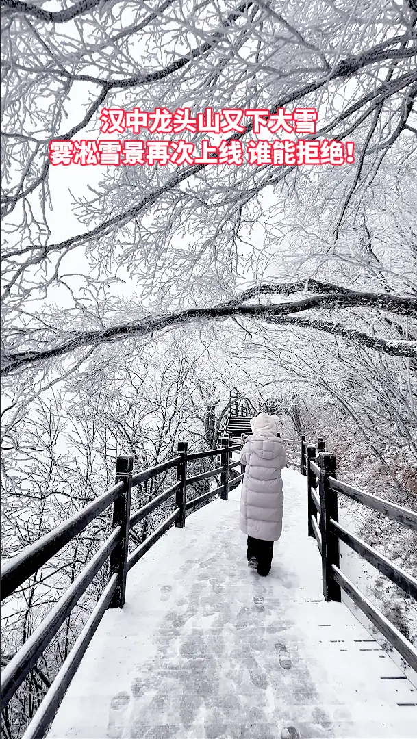 汉中龙头山又迎来一场大雪，雾凇雪景再次上线