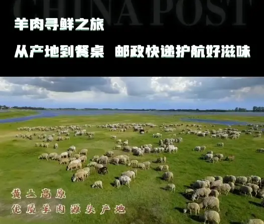 寄牛羊肉	🐑就选中国邮政🇨🇳 专业包装📦航空运输✈