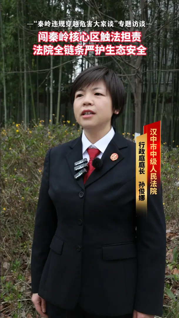 闯秦岭核心区触法担责！法院全链条严护生态安全