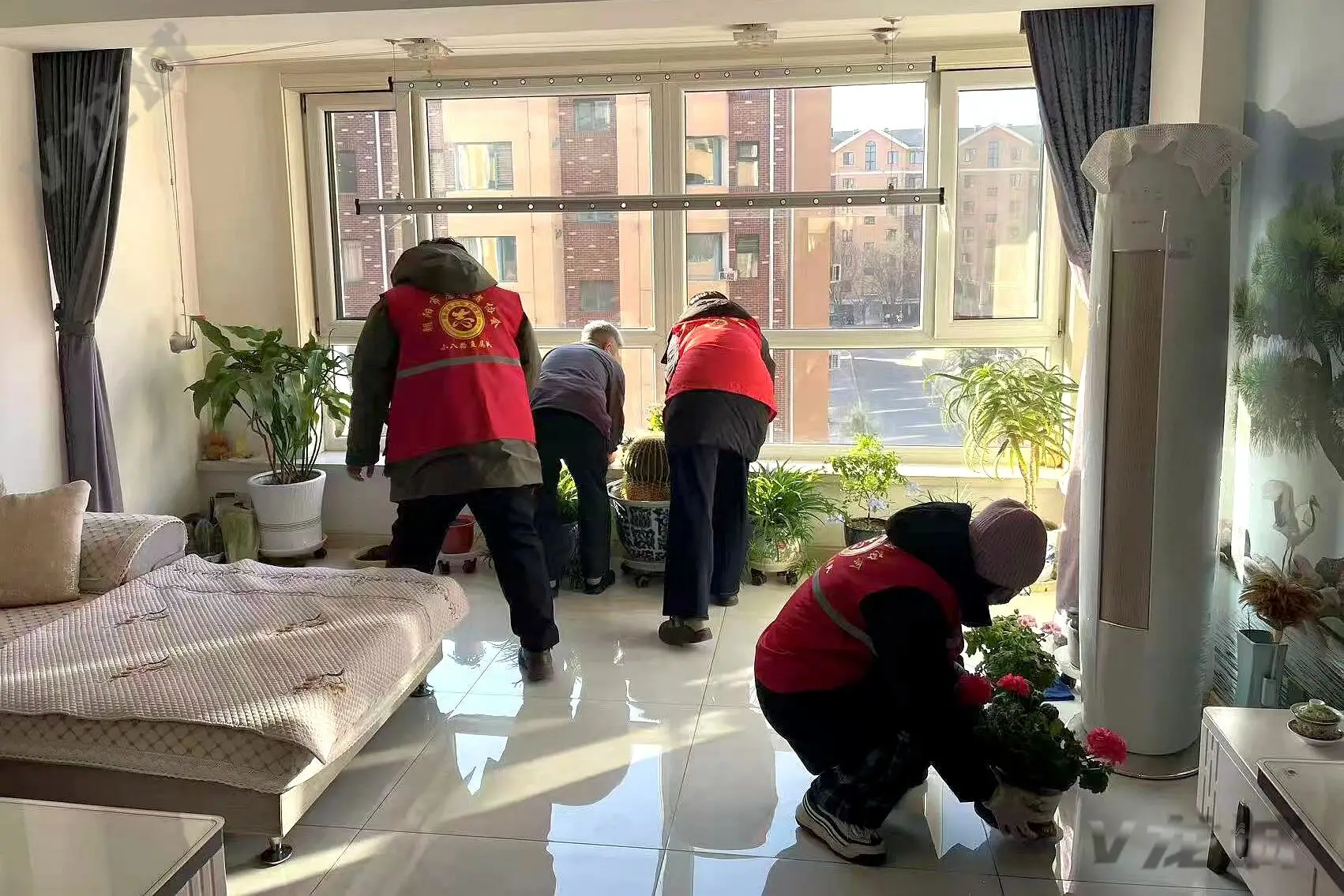 龙城区龙泉街道燕都社区开展“情暖老人心 入户送清洁”志愿服务活动