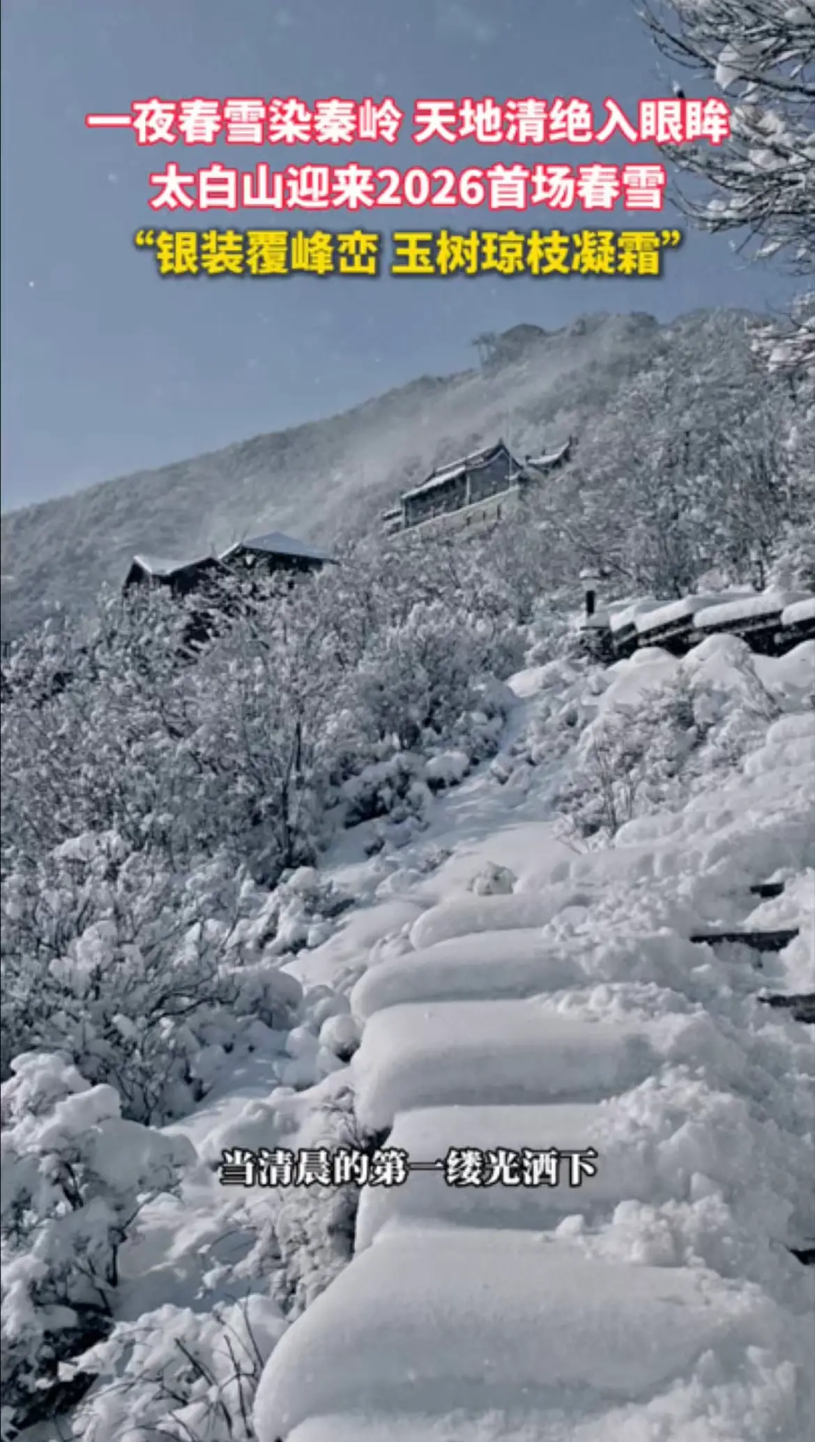 一夜春雪染秦岭 天地清绝入眼眸，太白山迎来2026首场春雪