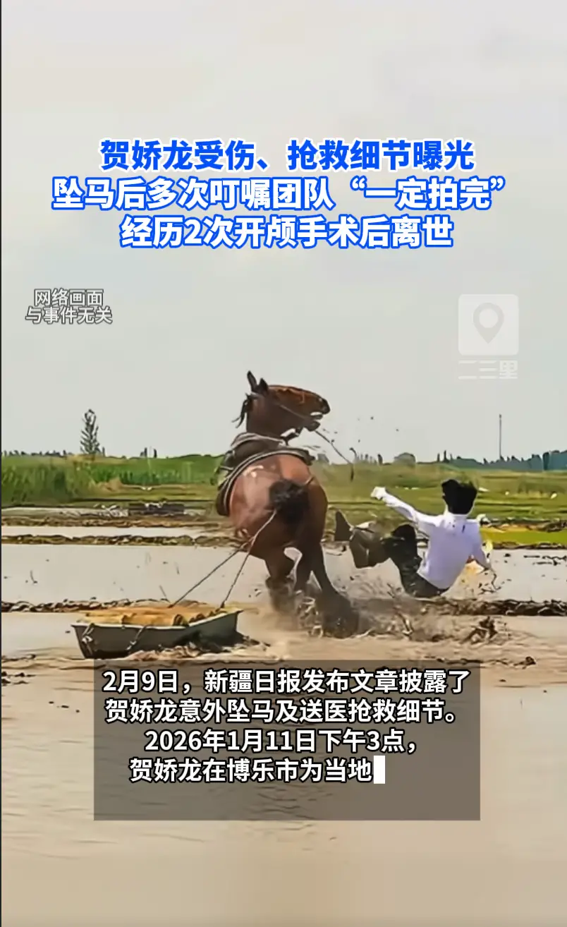 贺娇龙受伤、抢救细节曝光 