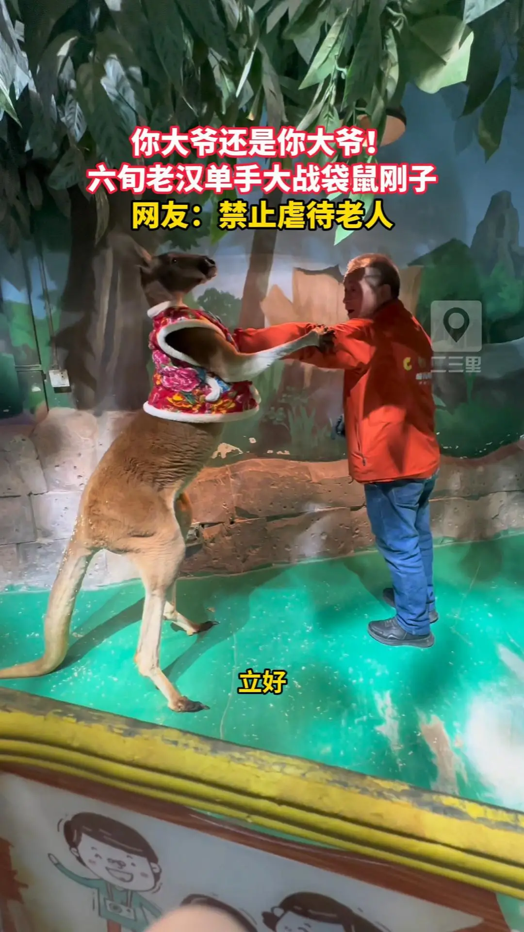 你大爷还是你大爷！六旬老汉单手大战袋鼠刚子，网友：禁止虐待老人