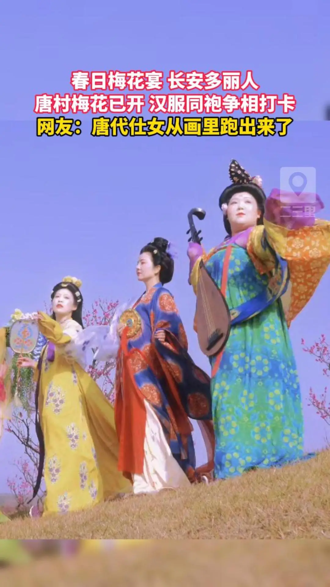 春日梅花宴，长安多丽人，唐村梅花已开，汉服同袍争相打卡，网友：唐代仕女从画里跑出来了
