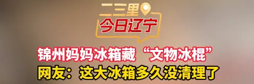 锦州妈妈冰箱藏“文物冰棍” 网友：这大冰箱多久没清理了#冰箱#囤货 