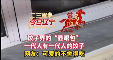 饺子界的“显眼包” 一代人有一代人的饺子 网友：可爱的不舍得吃