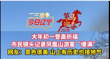 大年初一登高祈福 市民镜头记录凤凰山游客“爆满” 网友：景色很美 山上有历史也接地气