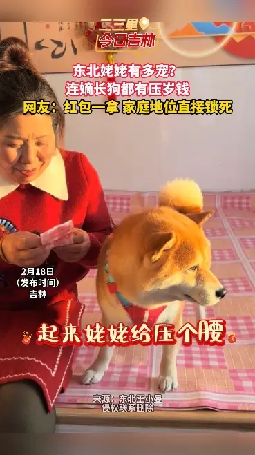 东北姥姥有多宠？ 连嫡长狗都有压岁钱 网友：红包一拿 家庭地位直接锁死