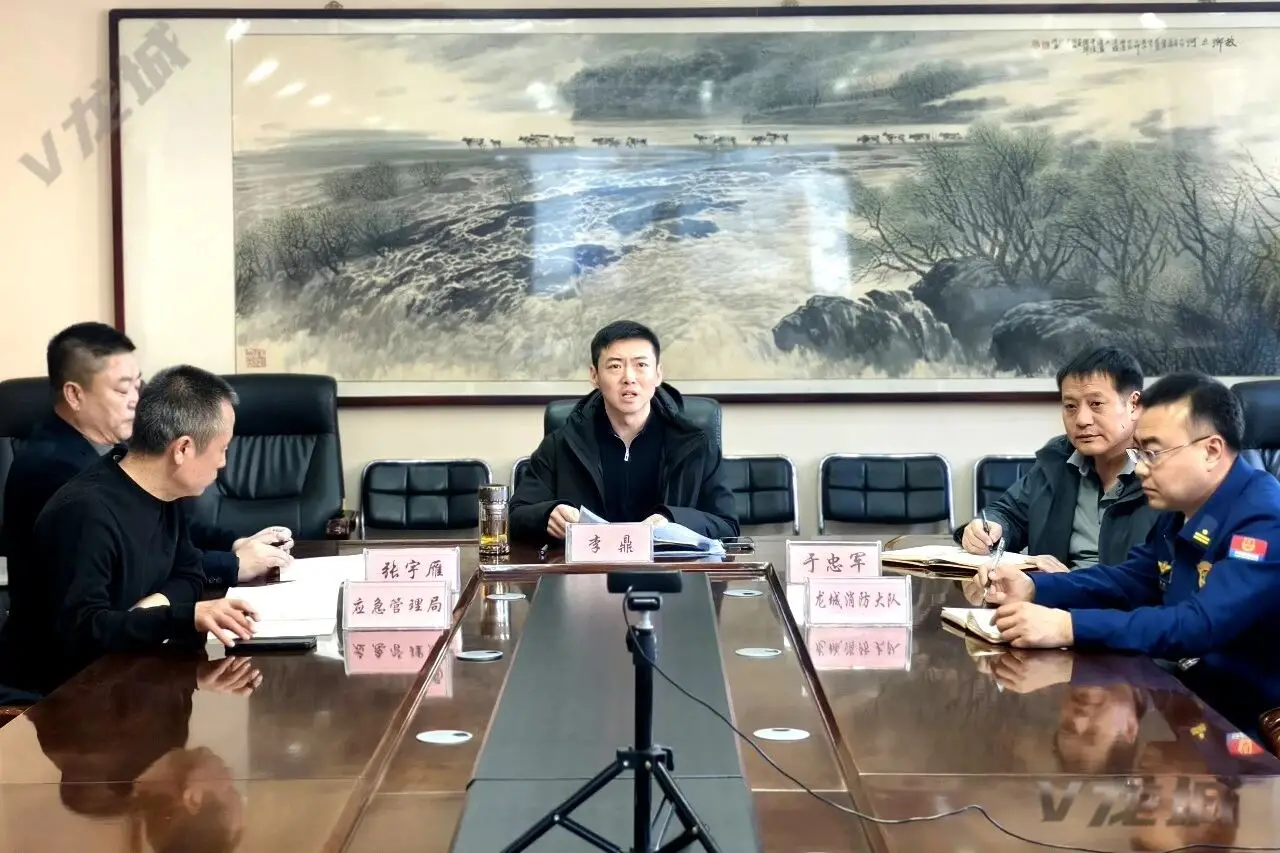 龙城区政府研究推进烟花爆竹全链条监管工作