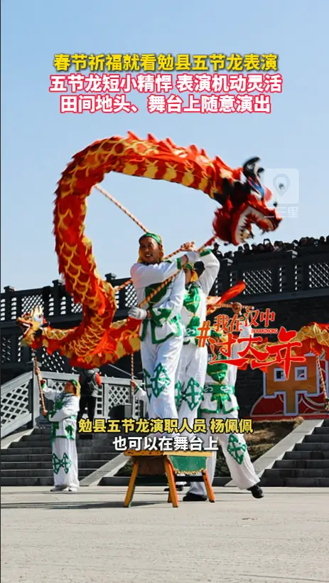 春节祈福就看勉县五节龙表演！五节龙短小精悍，表演机动灵活