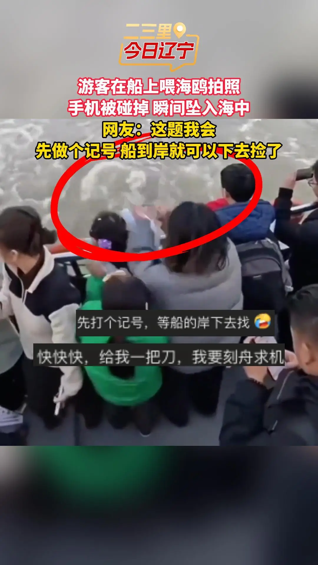 游客在船上喂海鸥拍照 手机被碰掉 瞬间坠入海中 网友：这题我会 先做个记号 船到岸就可以下去捡了