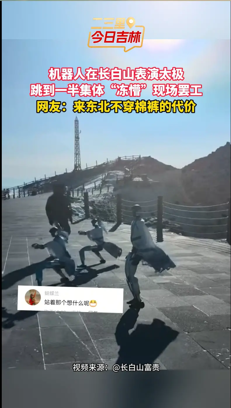 机器人在长白山表演太极被“冻懵”，集体罢工场面好笑又心酸
