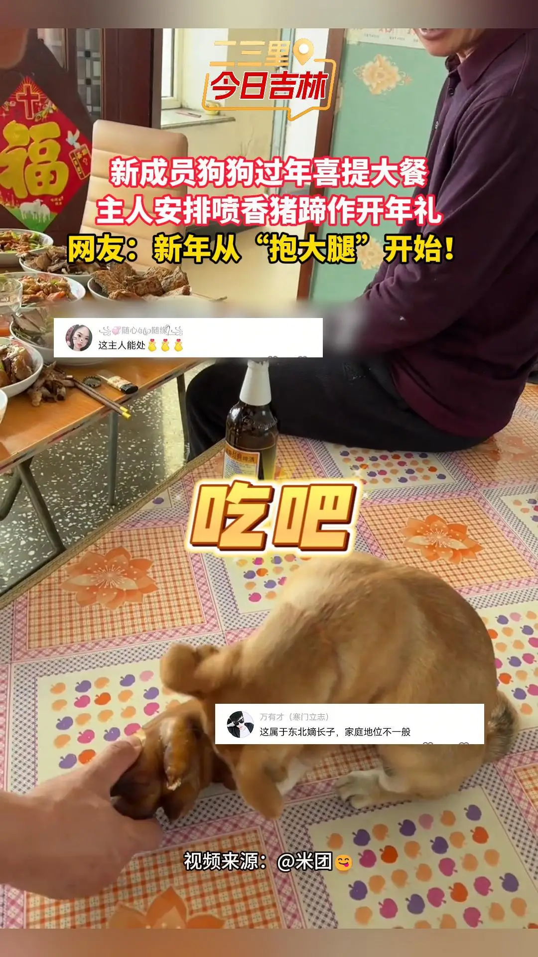 新成员狗狗过年喜提开年大餐，主人安排上整只猪蹄