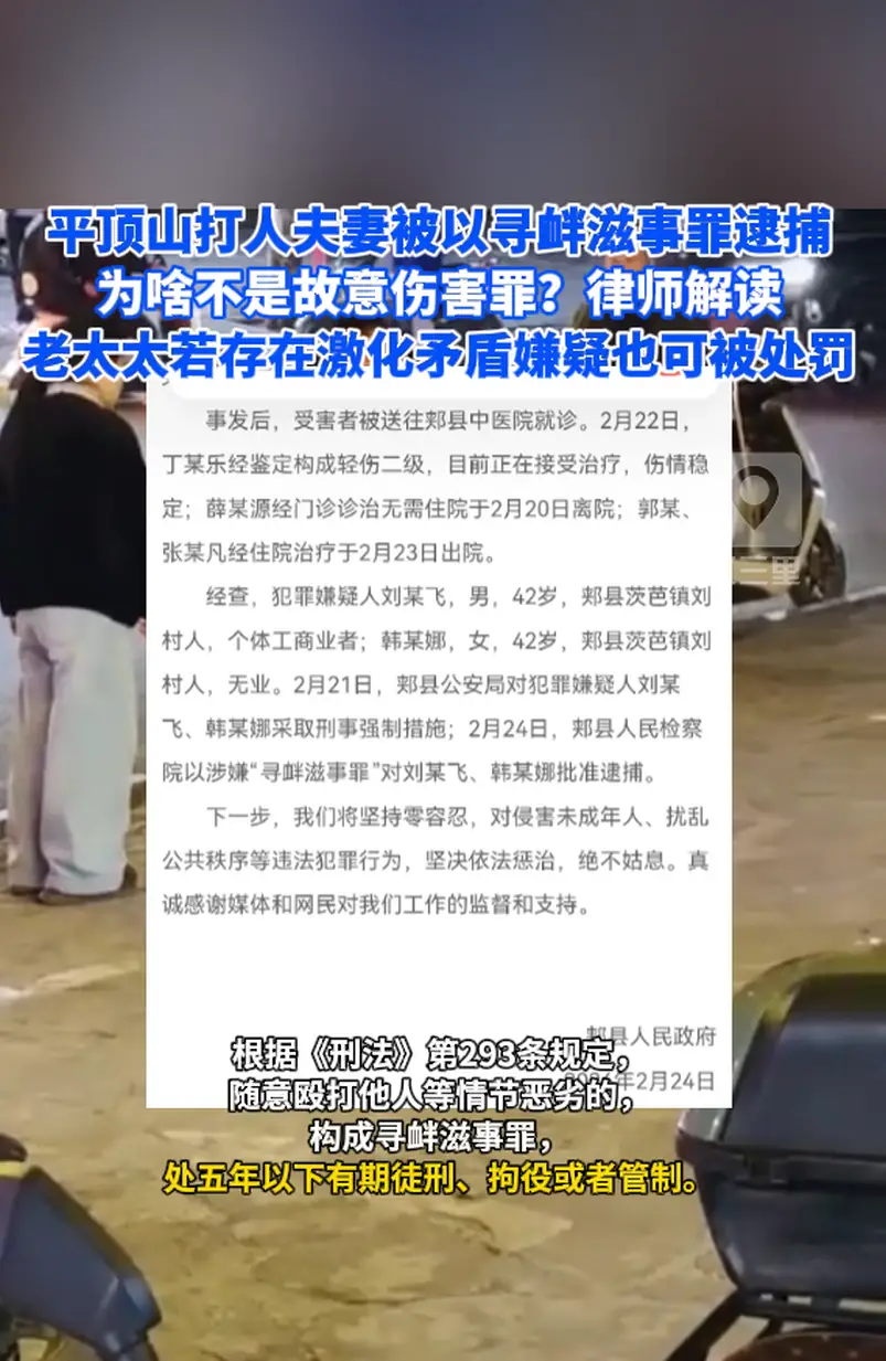 平顶山打人夫妻被以寻衅滋事罪逮捕  老太太杨某是否担责？