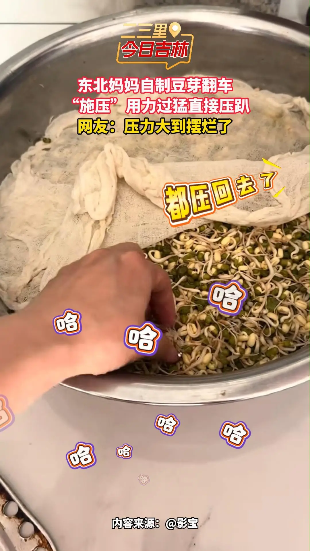 东北妈妈自制豆芽硬核“施压”，直接把豆芽压趴！网友：压力大到摆烂了 