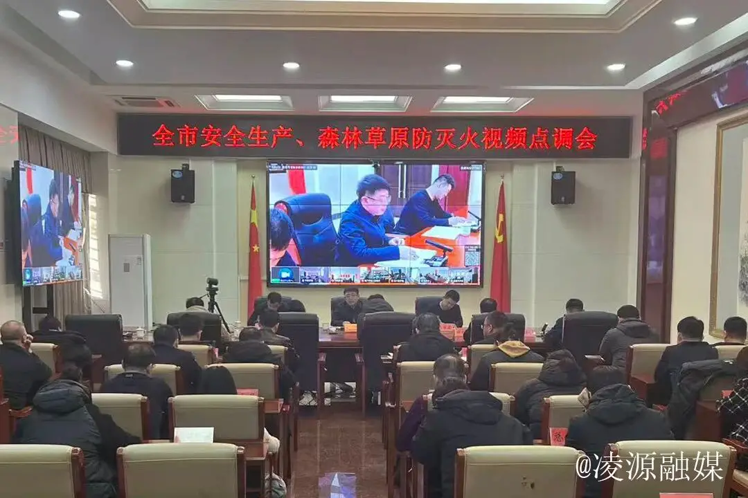 凌源市安全生产和森林草原防灭火视频点调会议召开