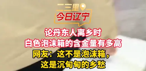 论丹东人离乡时 白色泡沫箱的含金量有多高 网友：这不是泡沫箱， 这是沉甸甸的乡愁#丹东#泡沫箱 