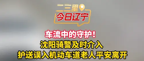 车流中的守护！ 沈阳骑警及时介入  护送误入机动车道老人平安离开#沈阳 