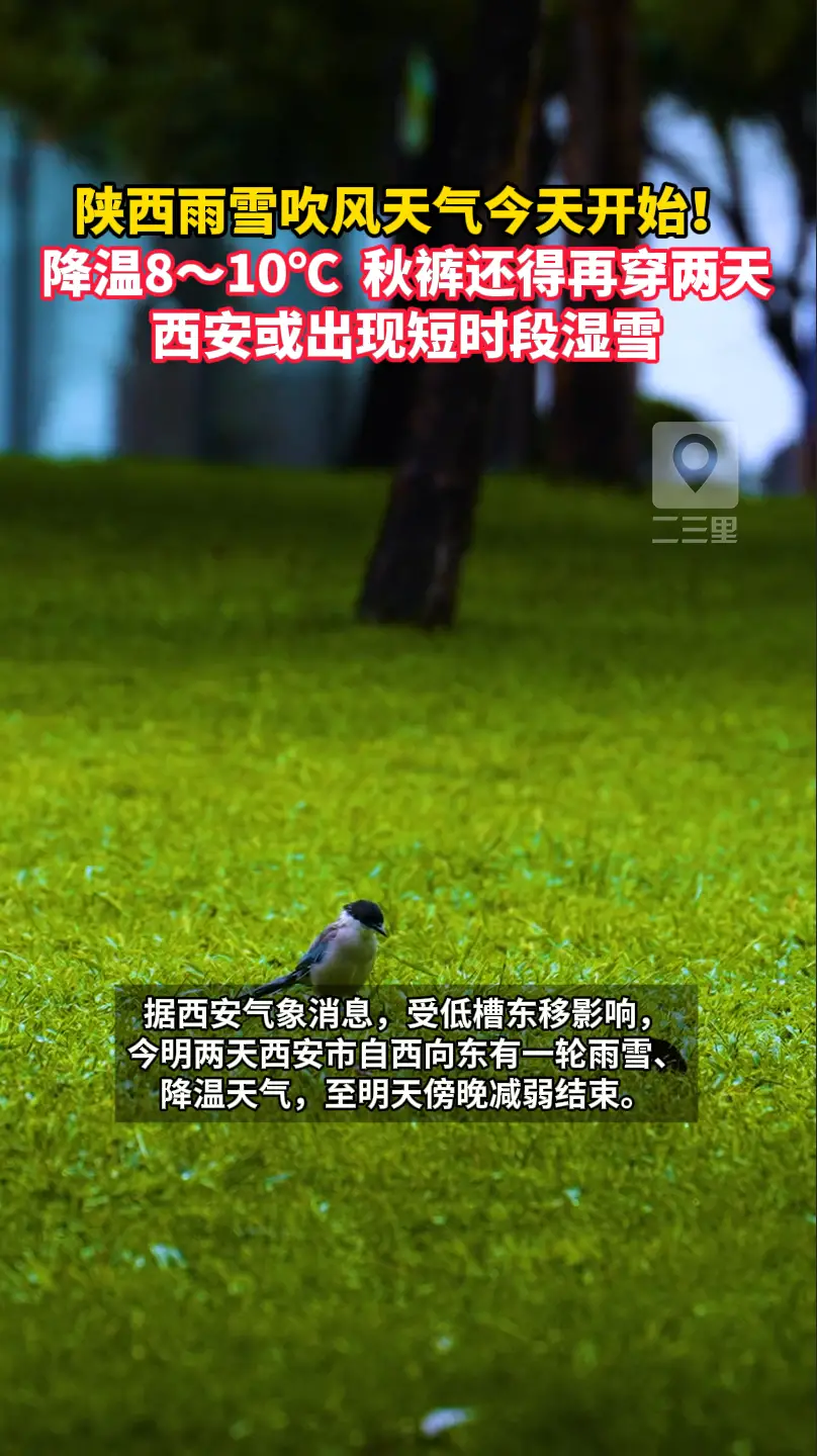 陕西雨雪吹风天气今天开始！