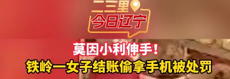 莫因小利伸手！ 铁岭一女子结账偷拿手机被处罚#铁岭 