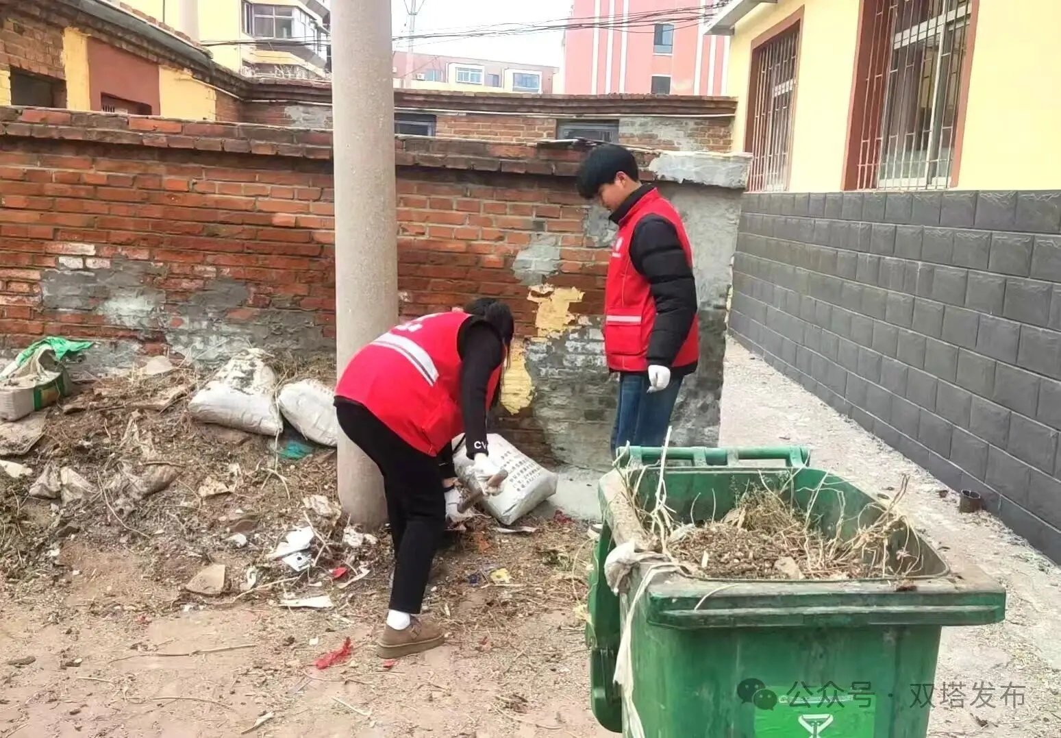共筑文明城 双塔在行动 双塔区前进街道前进社区:青年志愿齐发力 清洁家园焕新颜