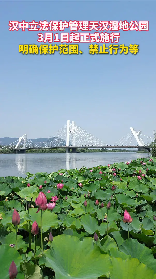 汉中立法保护管理天汉湿地公园，3月1日起正式施行