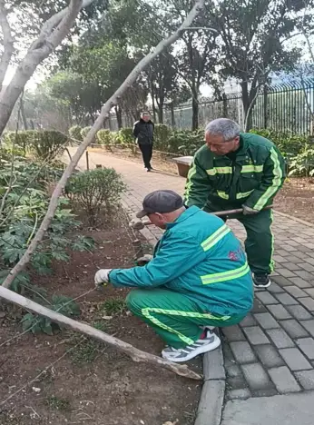 金台城管：精细化治理扮靓绿色空间 