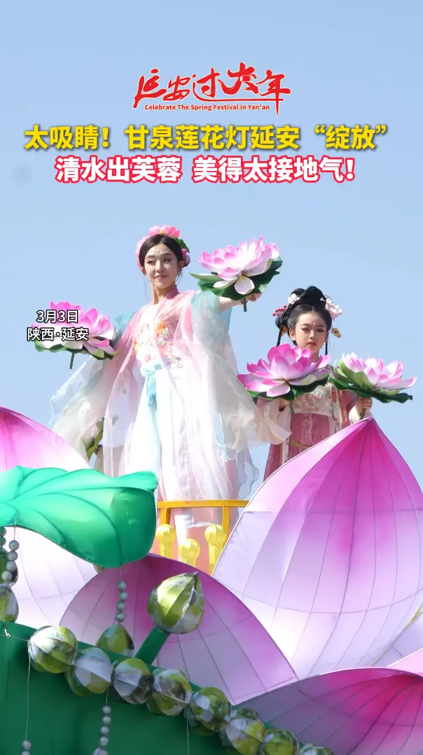 太吸睛！甘泉莲花灯延安“绽放”，清水出芙蓉  美得太接地气！