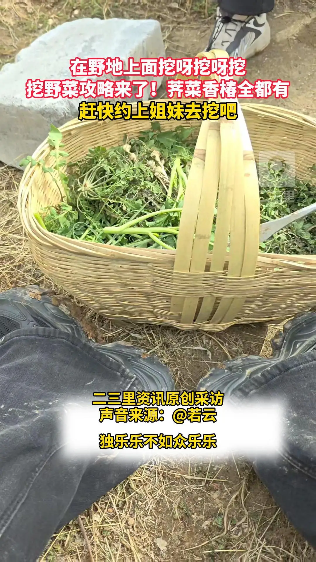 在野地上面挖呀挖呀挖，挖野菜攻略来了！荠菜香椿全都有，赶快约上姐妹去挖吧