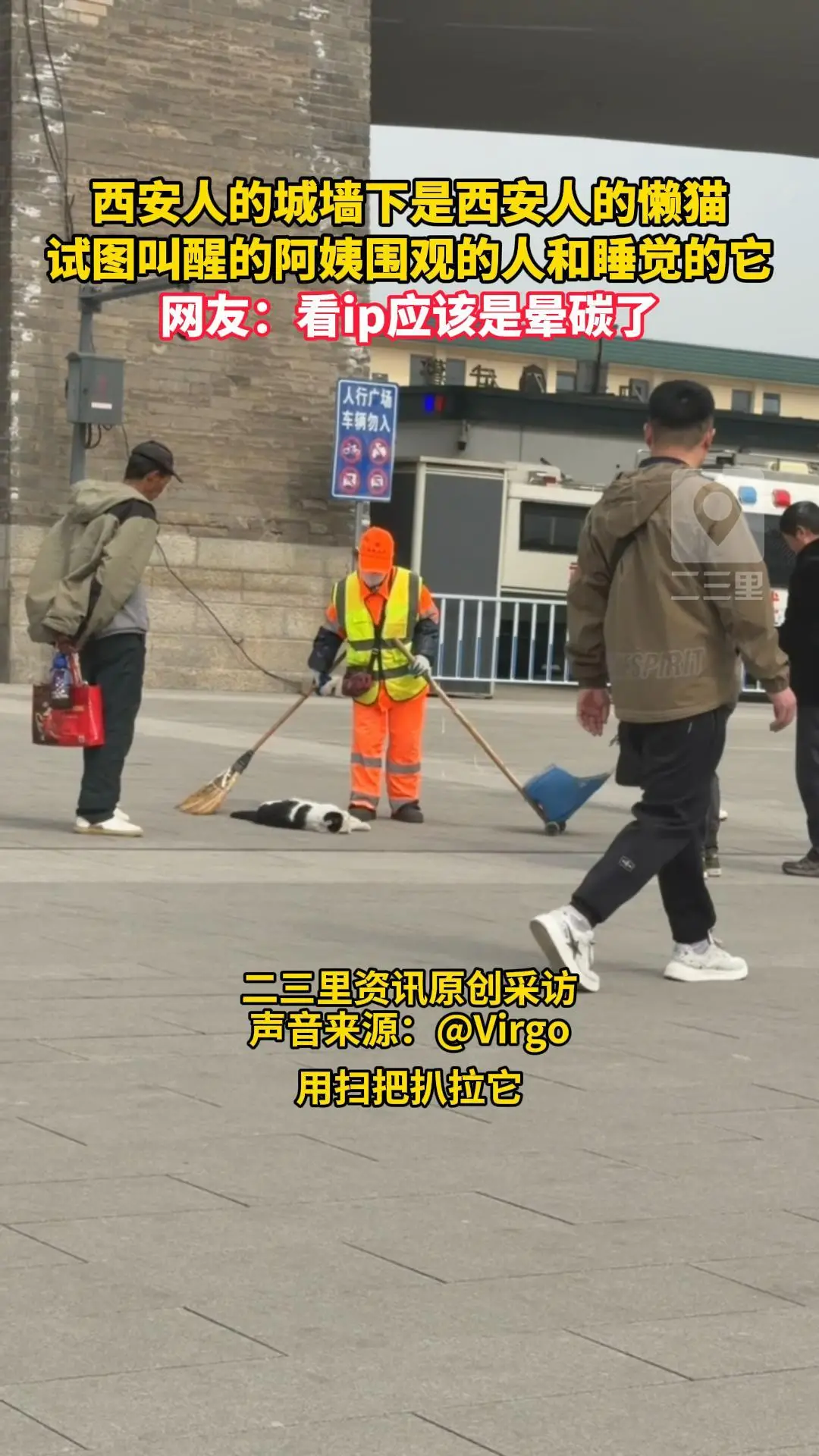 西安人的城墙下是西安人的懒猫，试图叫醒的阿姨围观的人和睡觉的它，网友：看ip应该是晕碳了