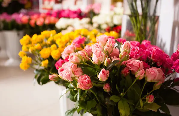 郑州一8岁孩子花50元买花送母亲 父亲大闹花店：不退就让店开不下去