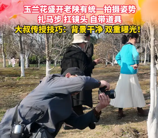 扎马步扛镜头，玉兰花盛开老陕有统一拍摄姿势