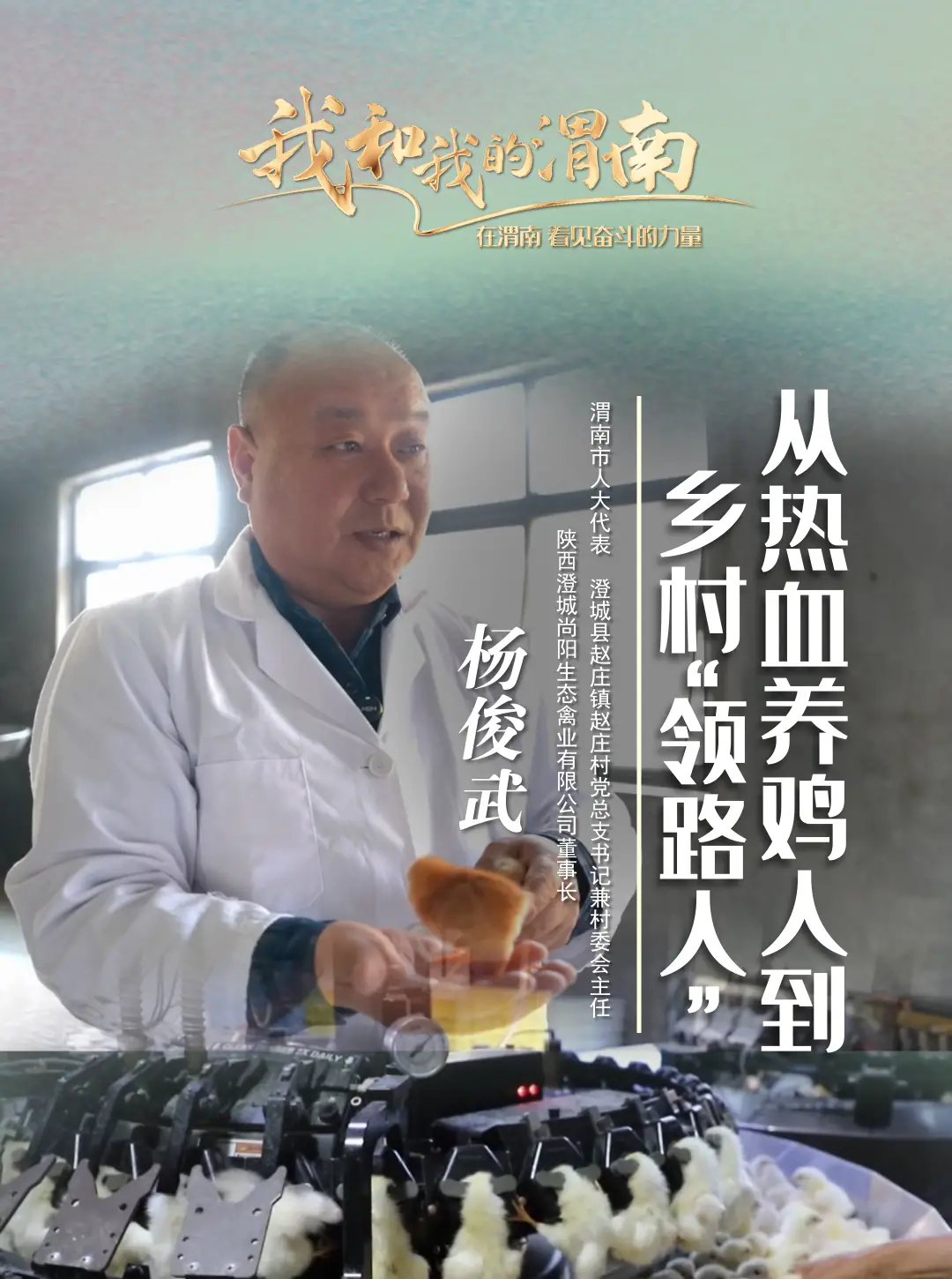 《我和我的渭南》第六十一期——杨俊武：从热血养鸡人到乡村“领路人”
