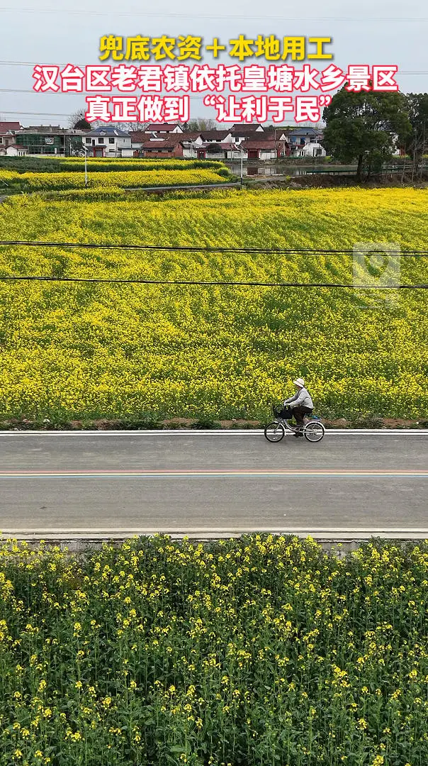 兜底农资＋本地用工，汉台区老君镇依托皇塘水乡景区，做到“让利于民”