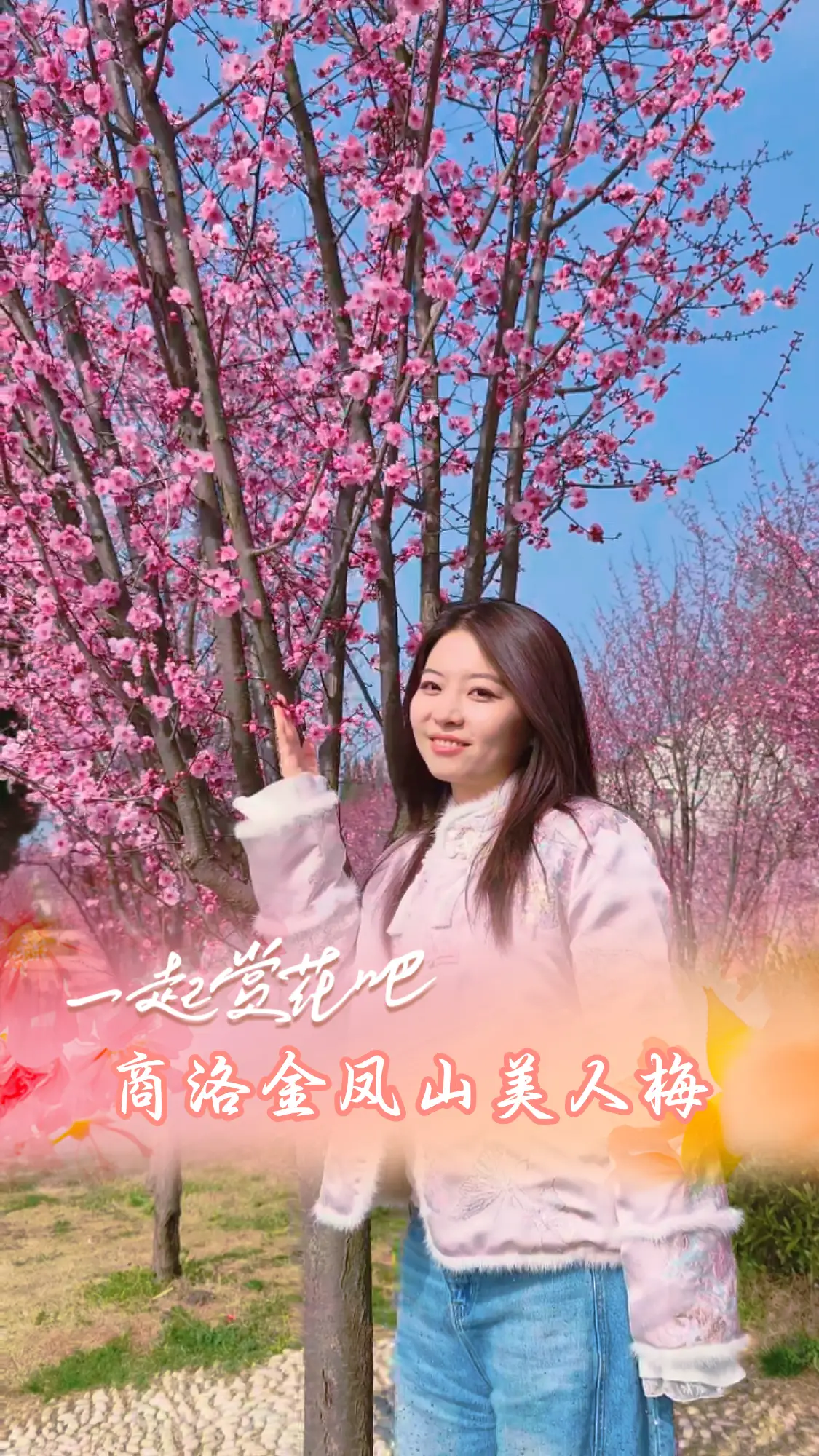 商洛金凤山的红梅已到最佳赏花期，快快约上三五好友一起去打卡吧