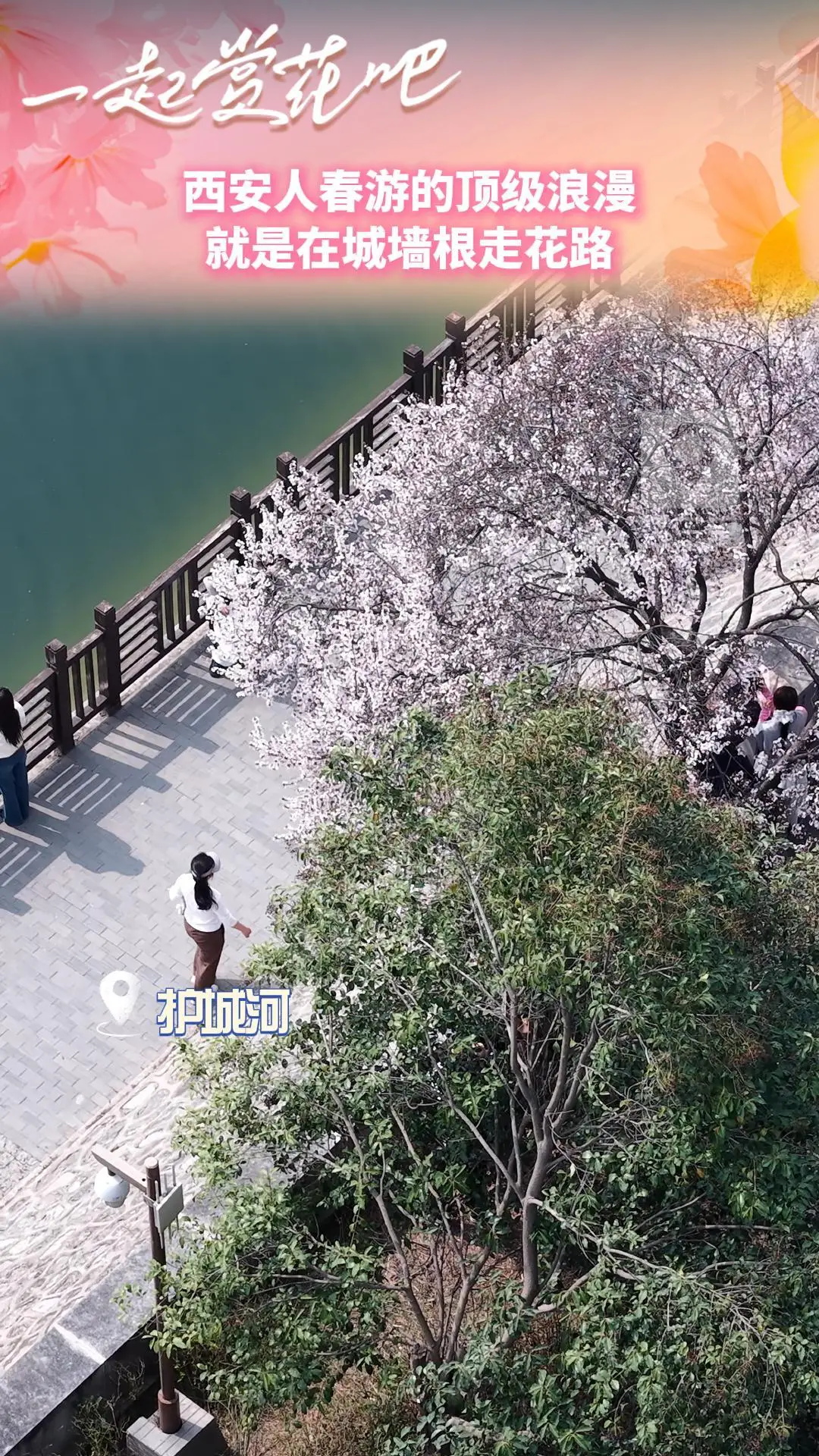 西安人春游的顶级浪漫，就是在城墙根走花路