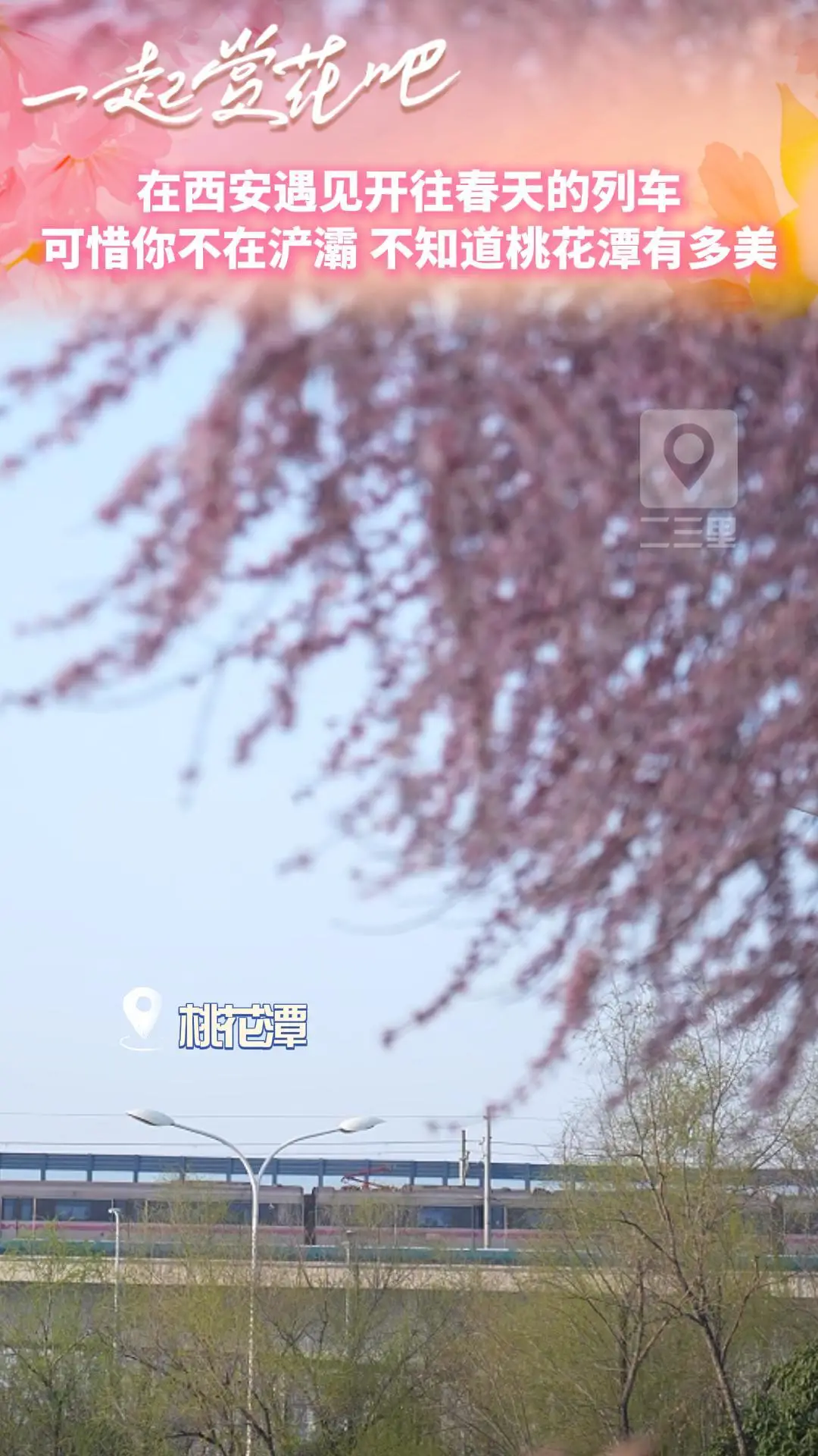 在西安遇见开往春天的列车，可惜你不在浐灞，不知道桃花潭有多美