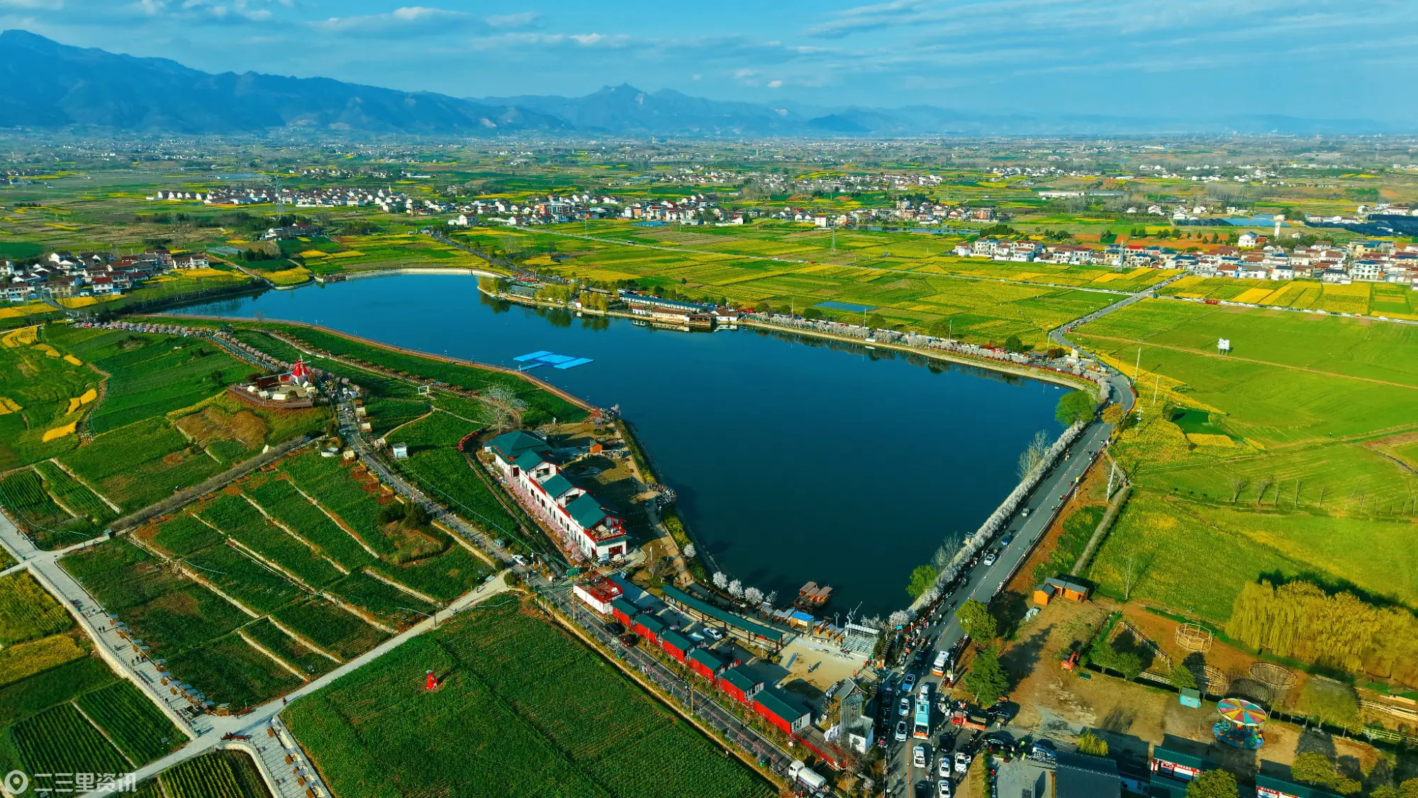 在汉台，这朵花不只开在春天！