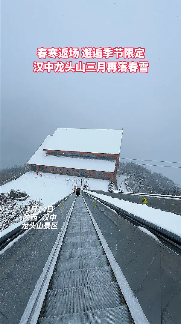 春寒返场，邂逅季节限定，汉中龙头山三月再落春雪