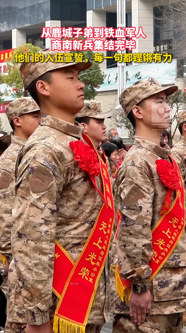 从鹿城子弟到铁血军人，商南新兵集结完毕，他们的入伍宣誓，每一句都铿锵有力